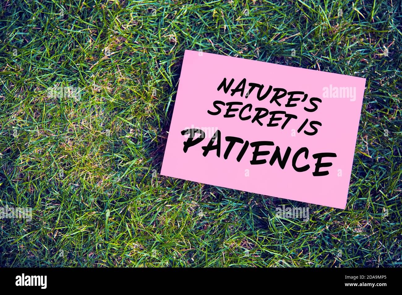 Her Secret Is Patience Banque D Image Et Photos Alamy