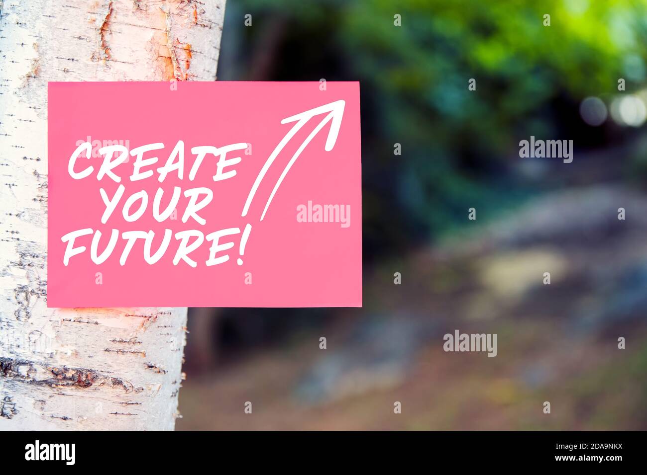 Créez votre future citation motivationnelle inspirante écrite sur papier sur un arbre dans la nature. Développer votre propre orientation, votre parcours, votre carrière ou vos réalisations dans Banque D'Images