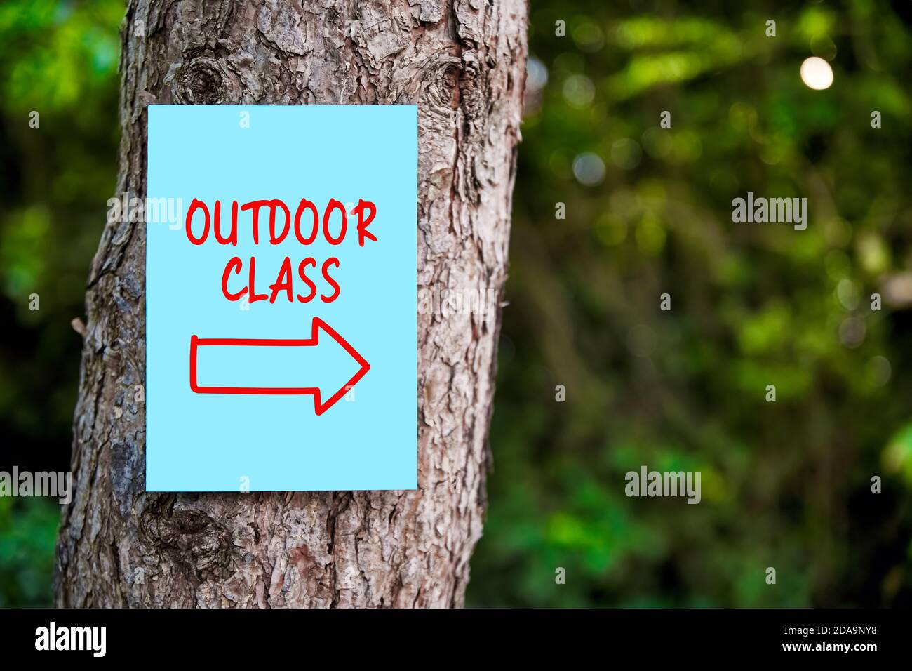 Enseigne de classe extérieure avec une flèche écrite sur du papier monté sur un arbre dans la forêt. Éducation en plein air. Banque D'Images