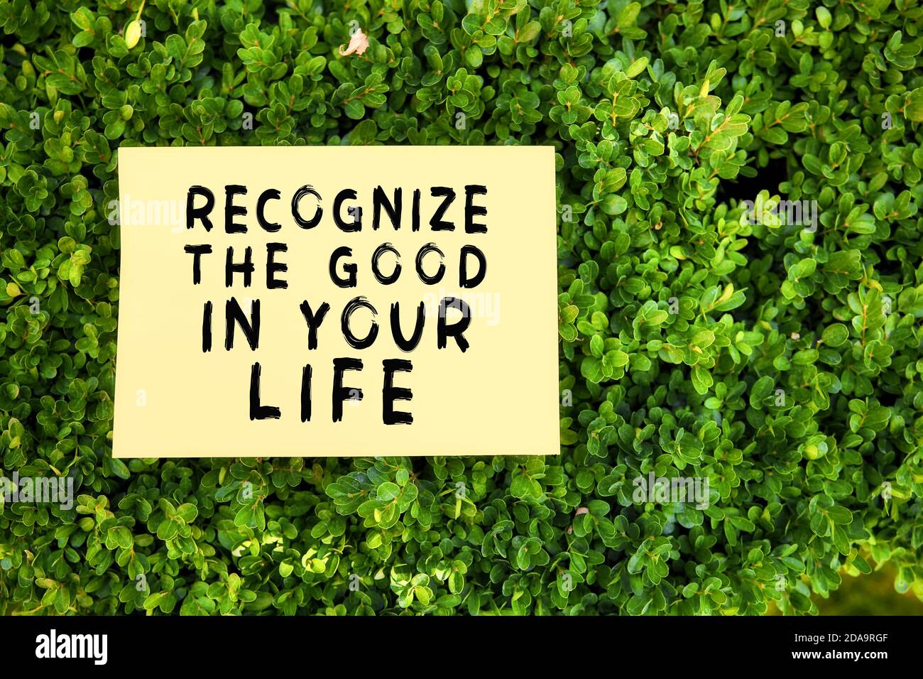 Citation inspirée reconnaître le bien dans votre vie écrit sur papier dans un jardin avec des plantes vertes dans la nature. Message de reconnaissance et de reconnaissance co Banque D'Images