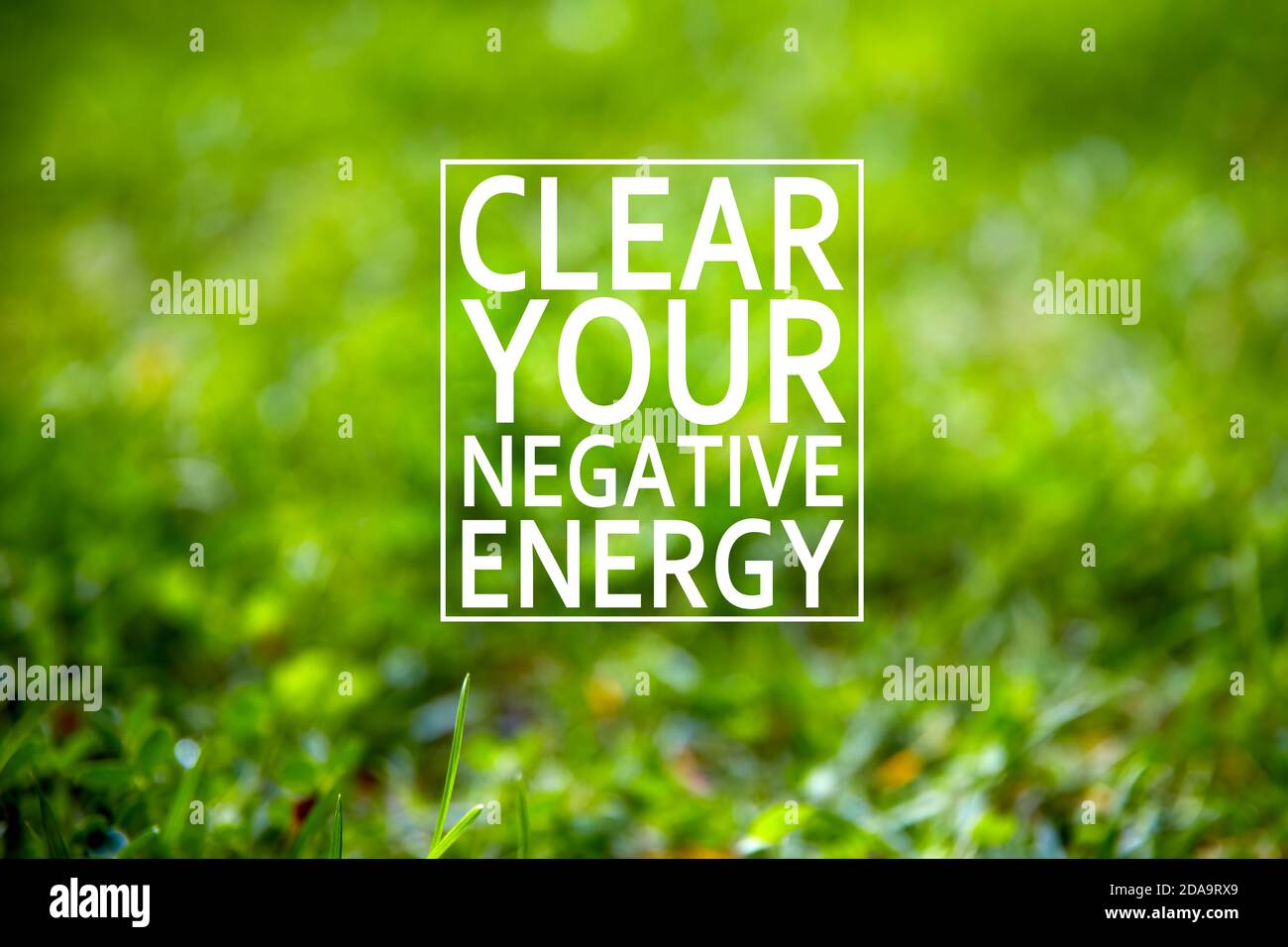 Les mots effacent votre énergie négative écrite sur le fond vert d'herbe de jardin. La guérison de votre esprit dans la nature concept. Banque D'Images