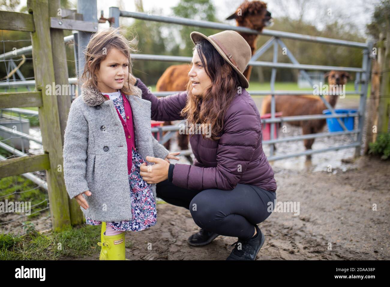 Une mère souriante et une fille soucieuse à une ferme comme Alpacas  regarder Photo Stock - Alamy