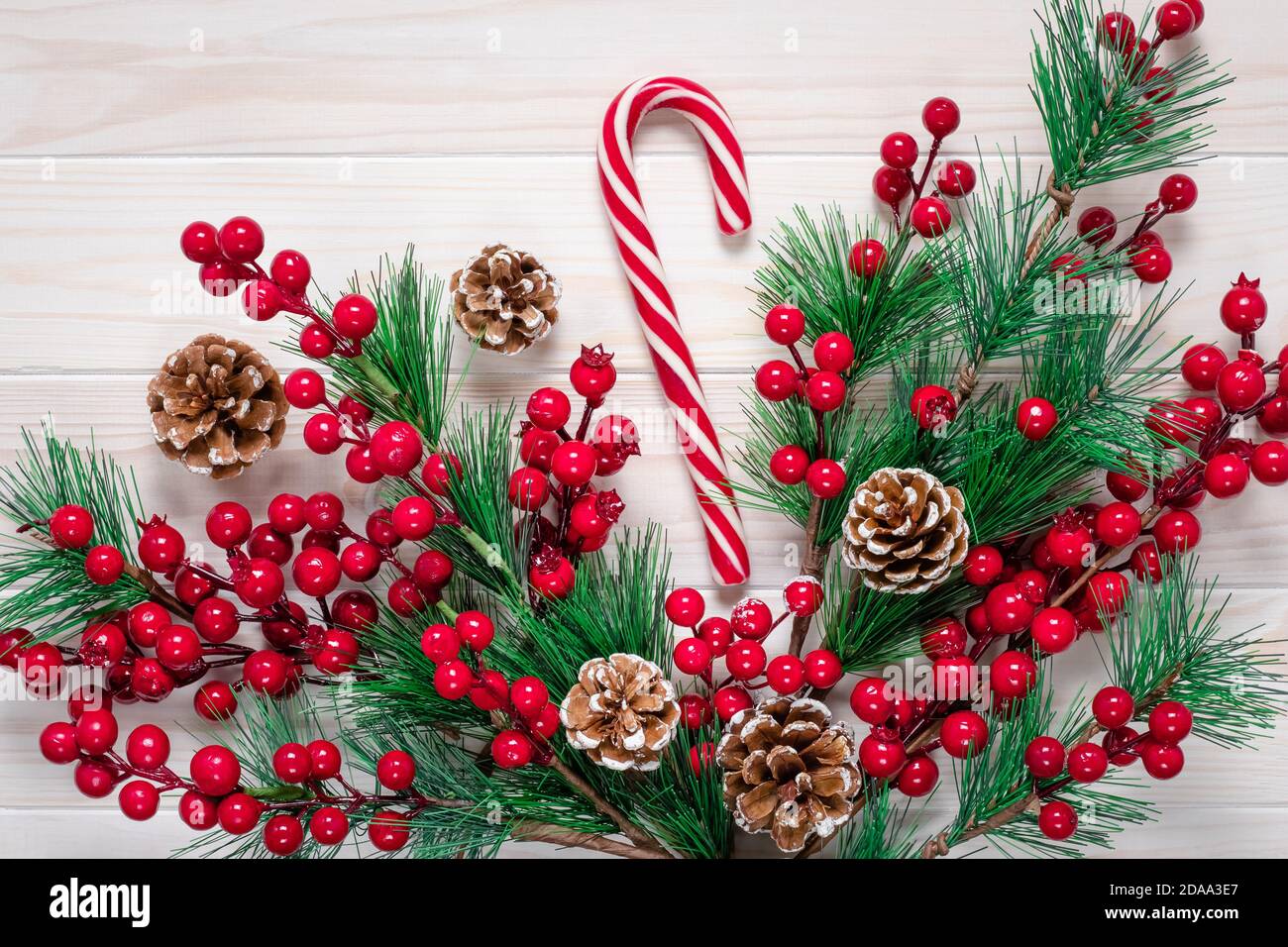 Saison de Noël. Christmastime, carte cadeau avec canne à sucre à rayures rouges. Décoration d'hiver avec branches de pin, cônes et houx berrie Banque D'Images