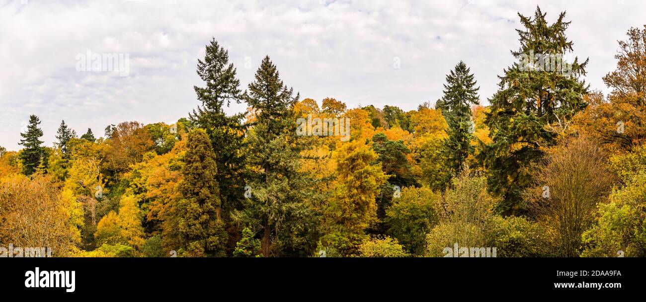 Vue panoramique sur les couleurs de l'automne dans la vallée de Westwood à Wakehurst Gardens, Sussex, Royaume-Uni Banque D'Images