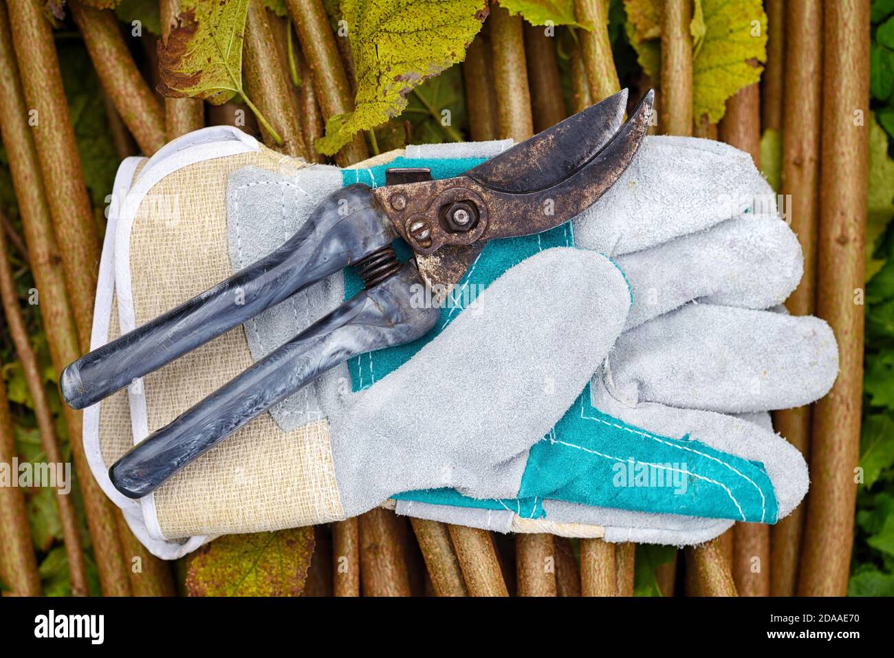 Gants de jardin avec jardin ancien secateur pour travailler dans le jardin Banque D'Images