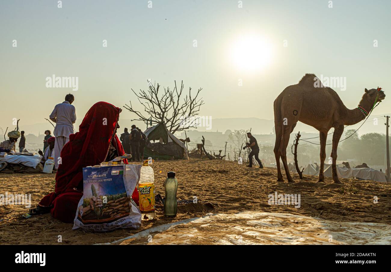 une femme indienne assise assise à pushkar festival de chameau tenu au rajasthan. Banque D'Images