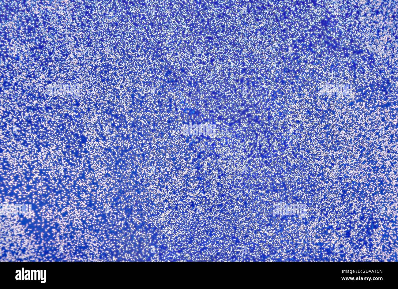 Fond en métal rouillé abstrait multicolore. Fond en fer recouvert de rouille et de peinture multicolore Banque D'Images