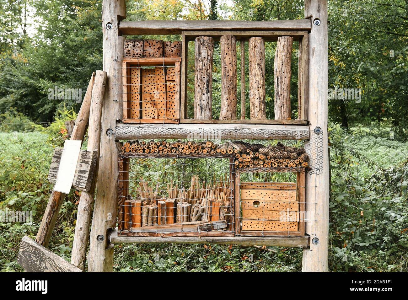 Hôtel de la maison des insectes en bois naturel créé fournir un abri aux insectes pour empêcher leur extinction Banque D'Images