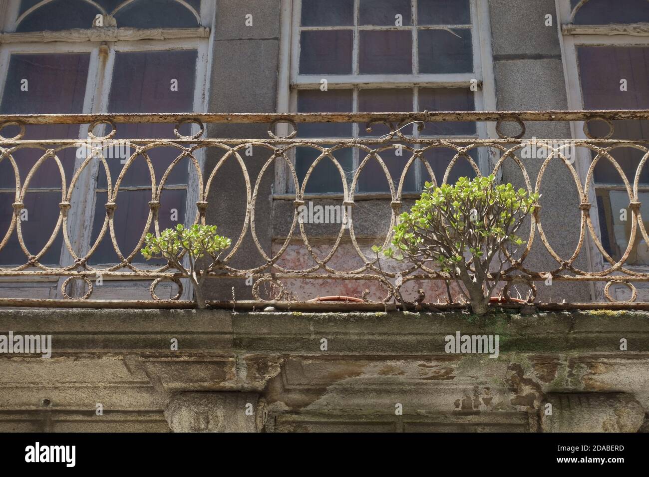 Plantes poussant sur un vieux balcon de maison abandonnée. Nature vs construction humaine. Banque D'Images