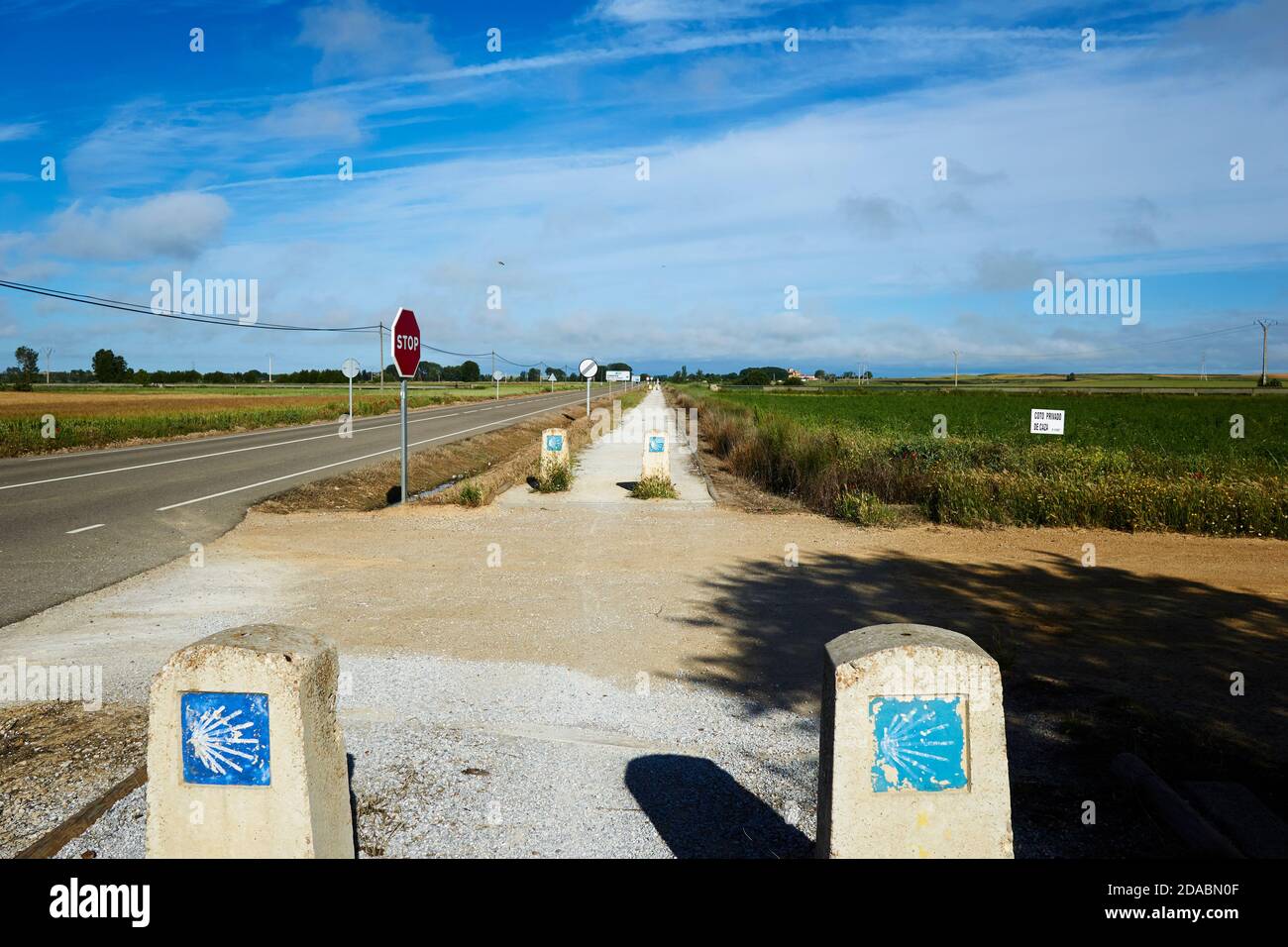 Une longue ligne droite, parallèle à la route P980, trace la route entre les villes de Frómista et Población de Campos. French Way, Way of St. James. P Banque D'Images