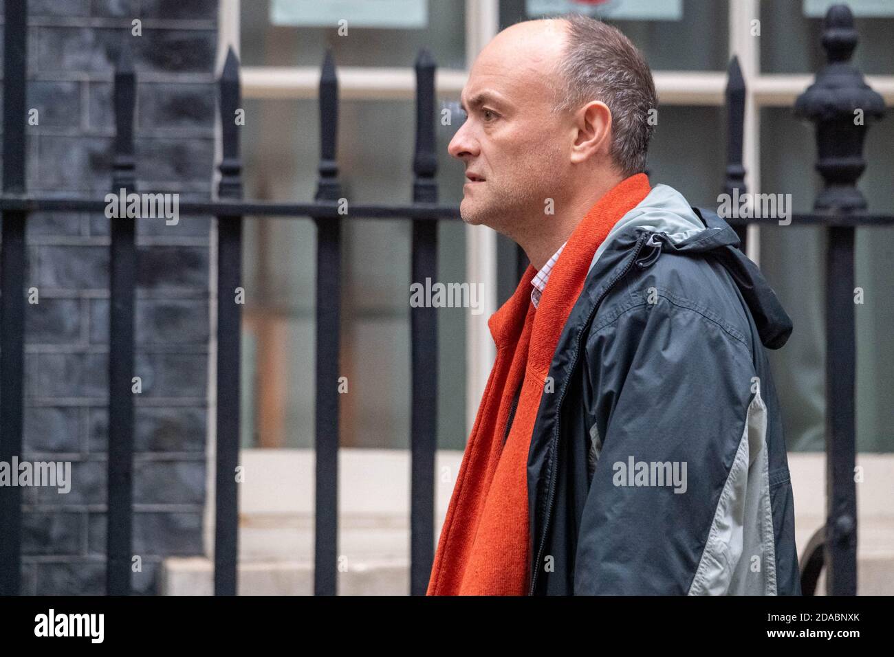 Londres, Royaume-Uni. 11 novembre 2020. Dominic Cummings dans Downing Street Londres crédit: Ian Davidson/Alay Live News Banque D'Images