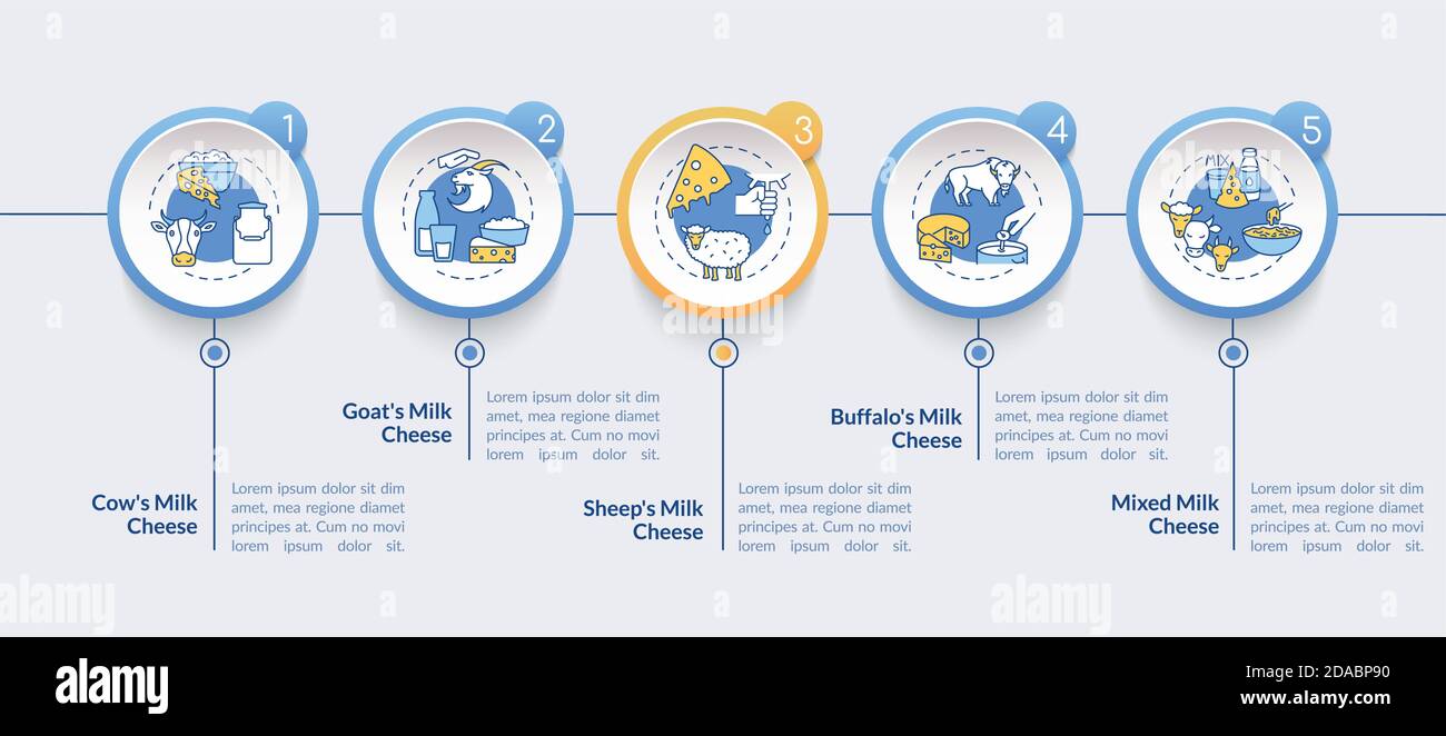 Modèle d'infographie sur les vecteurs de fabrication de fromage Illustration de Vecteur