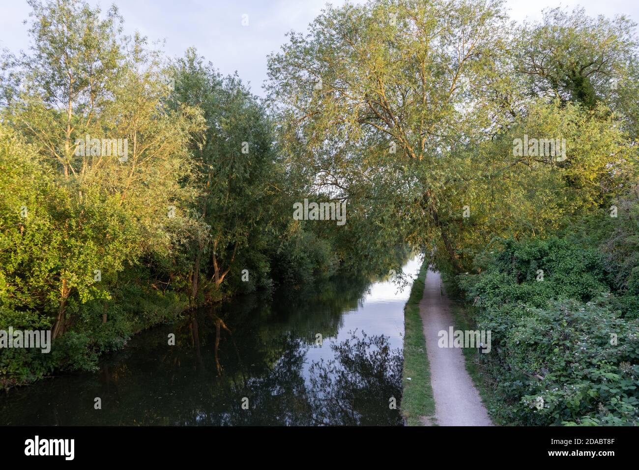 Vue sur le canal et le chemin de halage sur la rivière lea navigation en été, entouré par de beaux arbres Banque D'Images