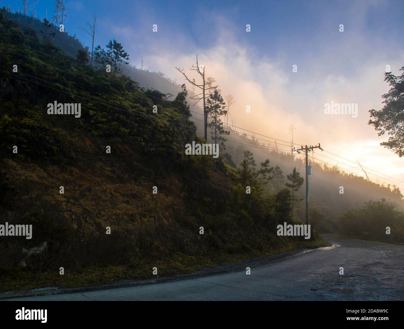 Vue panoramique sur un chemin dans les montagnes et les arbres de la Sierra Maestra autour de la Gran Piedra à Santiago de Cuba, Cuba Banque D'Images