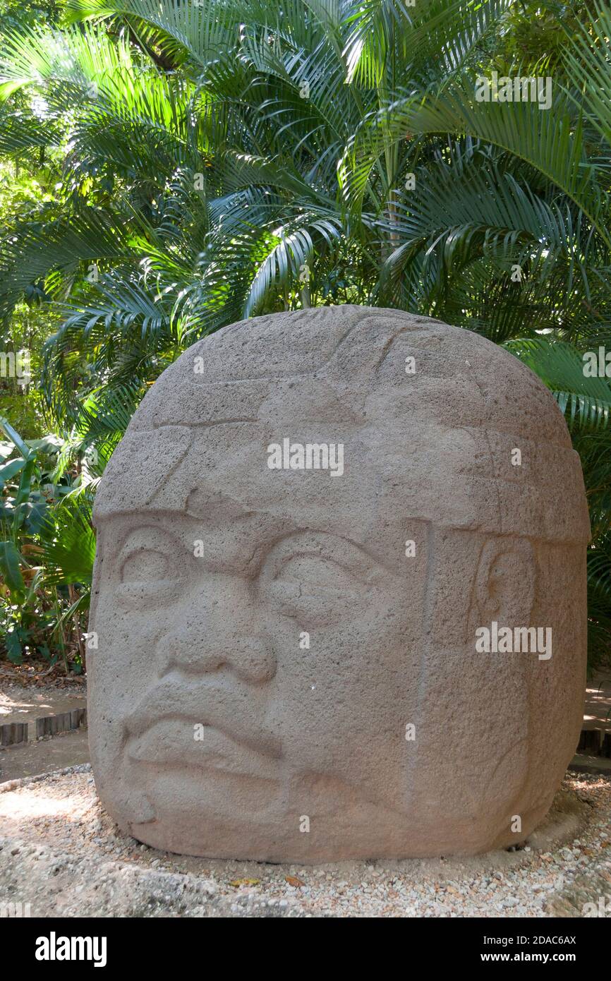 Olmec en pierre sculptant Colossal Head dans le parc de la Venta, Villahermosa, Tabasco, Mexique. Banque D'Images