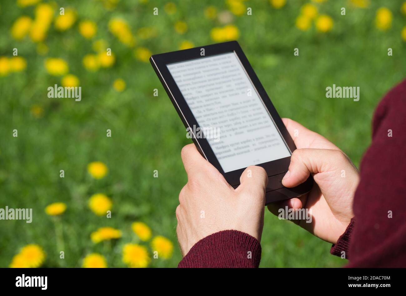 Un homme est en train de lire un livre électronique à la journée ensoleillée du printemps. Texte flou. Seules ses mains sont sur la photo. Champ pissenlit en arrière-plan. Banque D'Images