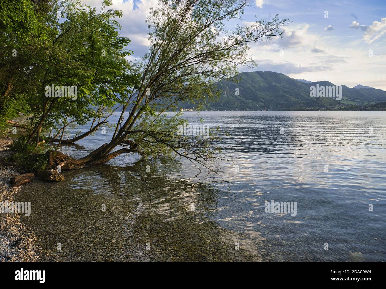 Paisible en fin d'après-midi sur la rive du lac Traunsee Banque D'Images