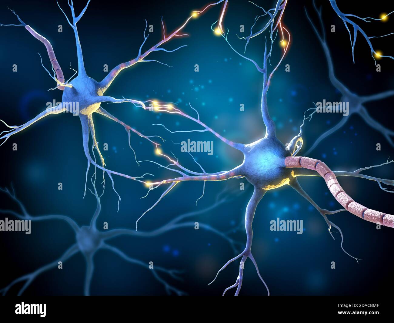 Réseau de neurones multipolaires avec récepteurs luminescents. Illustration 3D. Banque D'Images
