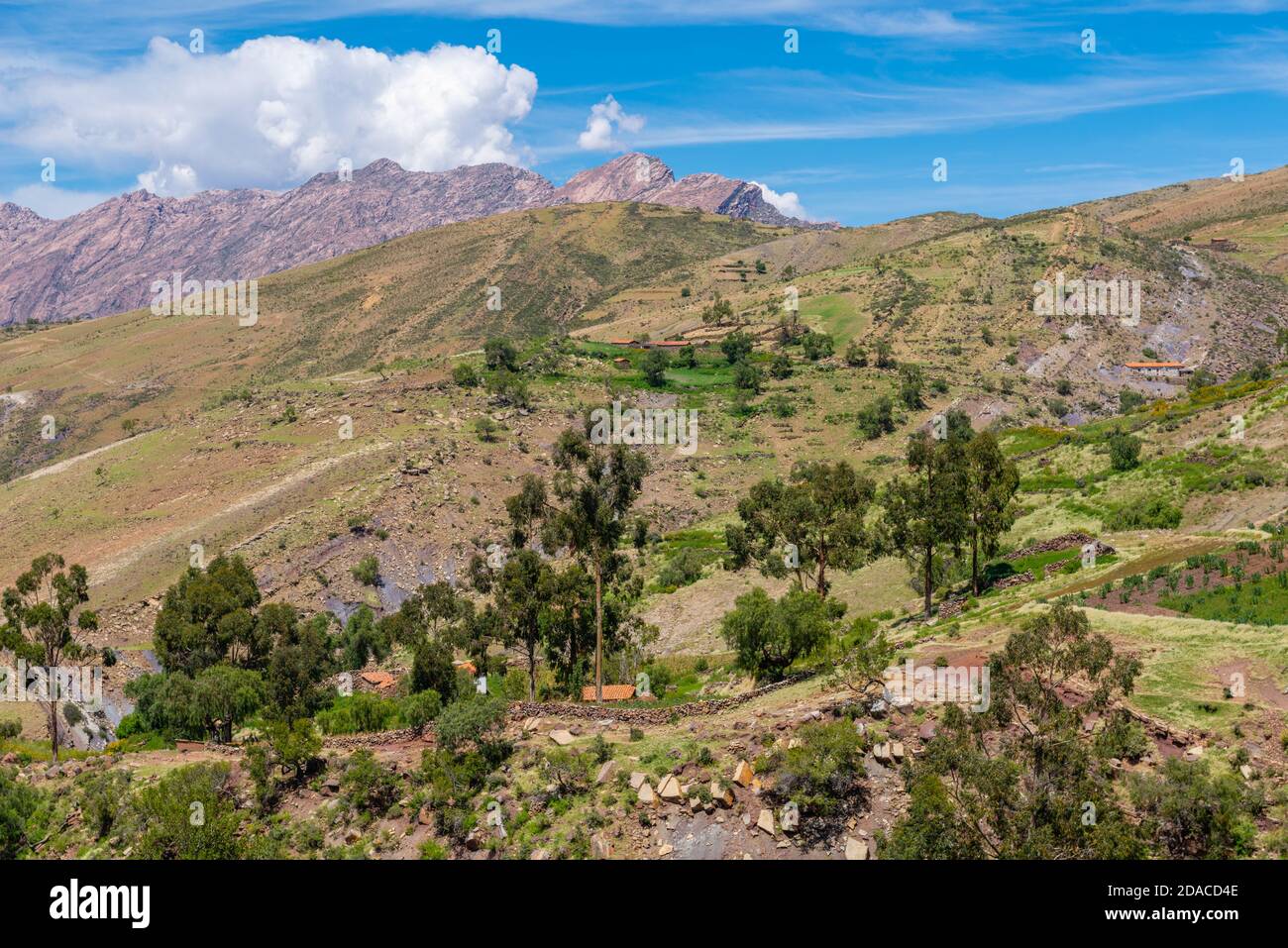 Paysage agricole dans la région de Maragua, Departamento sucre, Cordillera Central, Andes, Bolivie, Amérique latine Banque D'Images