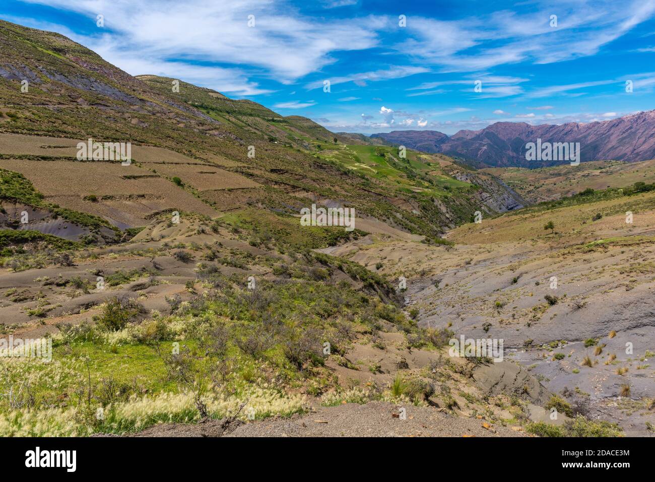 Paysage agricole dans la région de Maragua, Departamento sucre, Cordillera Central, Andes, Bolivie, Amérique latine Banque D'Images