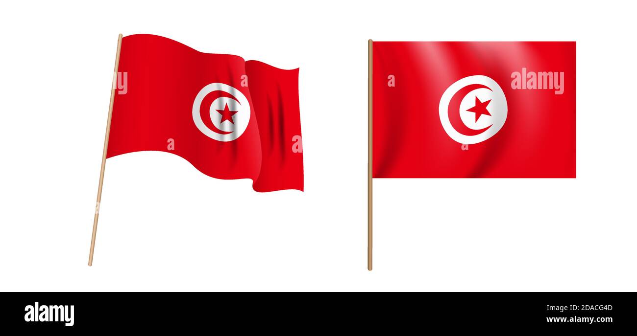 Haut en couleur, la République tunisienne naturaliste agite le drapeau. Illustration vectorielle Illustration de Vecteur