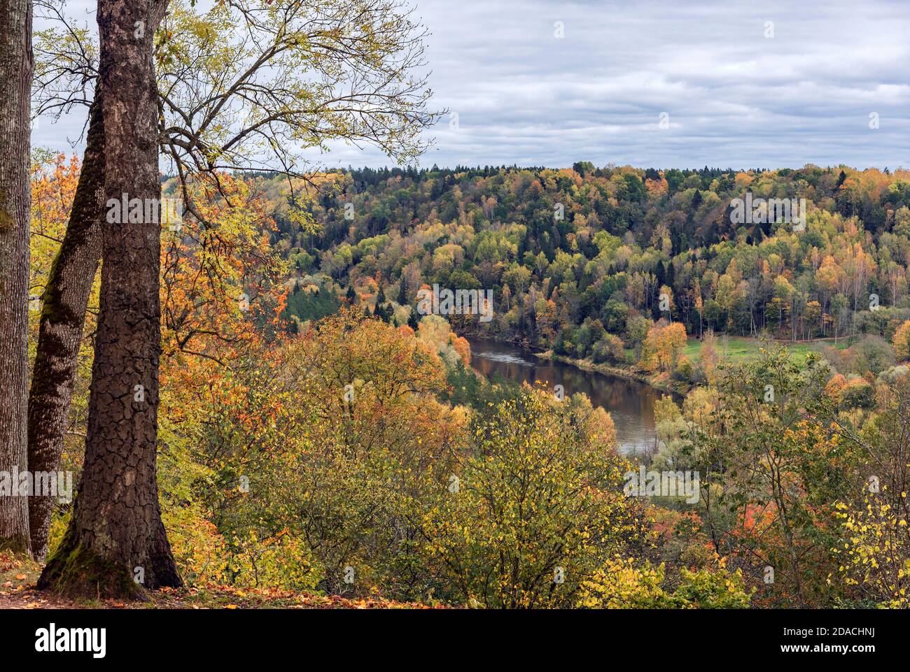 Vue sur le paysage de la rivière Gauja à Sugulda, Lettonie pendant l'automne doré Banque D'Images