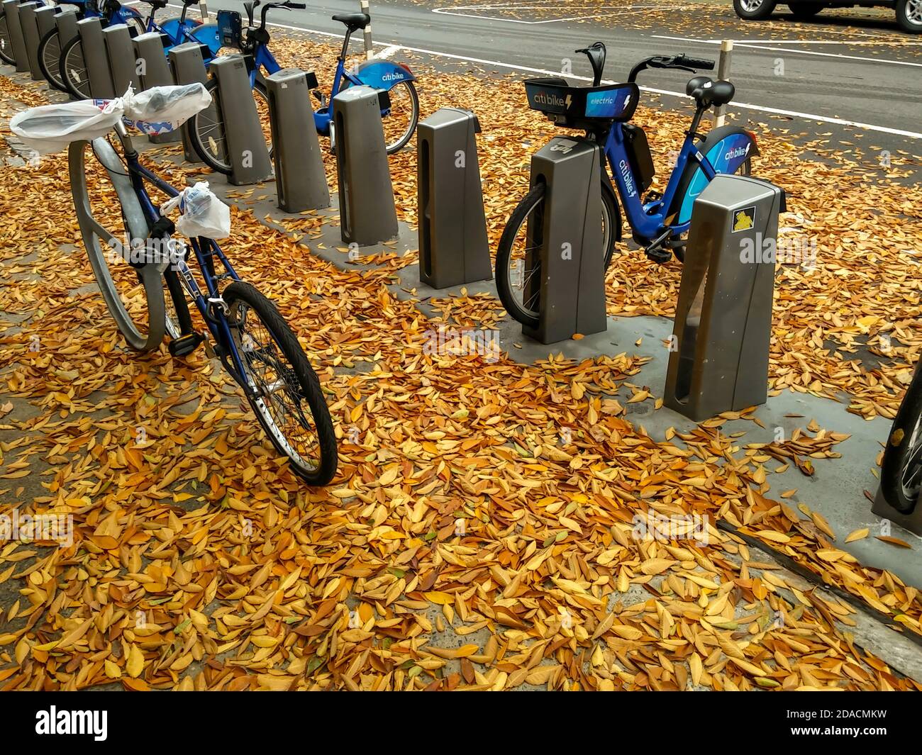 Le feuillage d'automne coloré dans le quartier de Chelsea, à New York, couvre la rue le mercredi 11 novembre 2020 (© Richard B. Levine) Banque D'Images