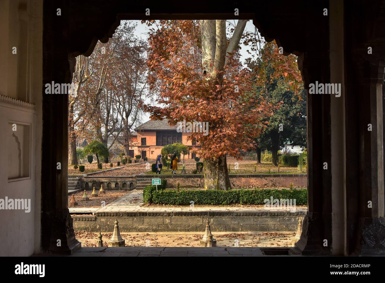 Les visiteurs marchent le long du jardin par un jour d'automne.l'automne,  connu localement sous le nom de Harud, une saison de récolte au Cachemire  avec des arbres changeant de couleurs tandis que