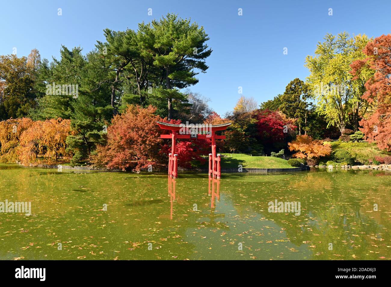 Automne - Brooklyn Botanic Garden, Japanese Hill & Pond Garden Banque D'Images