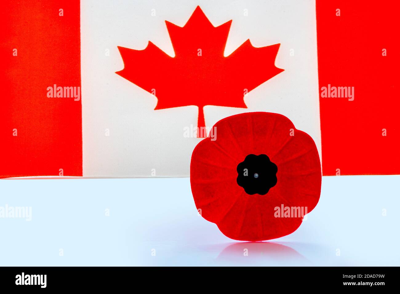 Une fleur de pavot du jour du souvenir avec un drapeau canadien à l'arrière-plan. Banque D'Images