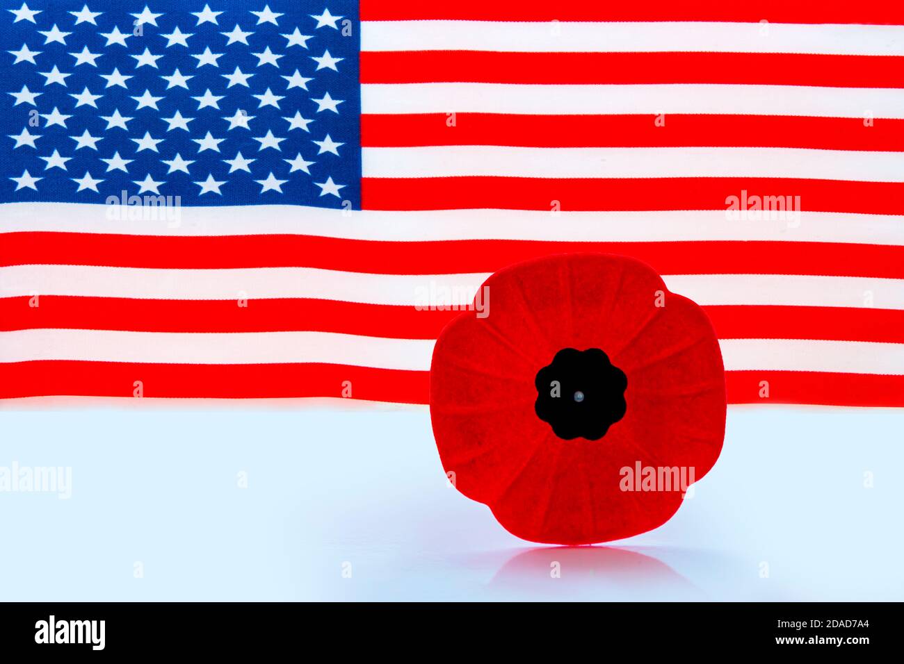 Une fleur de pavot en souvenir avec un drapeau américain sur le fond. Banque D'Images