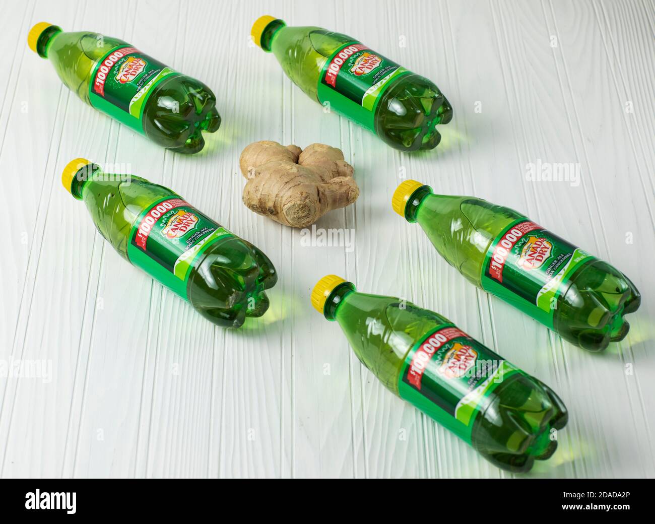 ALBERTA, CANADA le 11 novembre 2020 : flacon en plastique de 710 ML de Canada Dry Ginger Ale. Avec une racine de gingembre devant. Banque D'Images