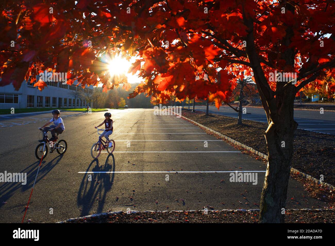 Enfants à vélo dans un parking vide avec coloré Feuillage d'automne rouge au premier plan sous la lumière du soleil de la fin de l'après-midi.Berkeley Heights.New Jersey. États-Unis Banque D'Images