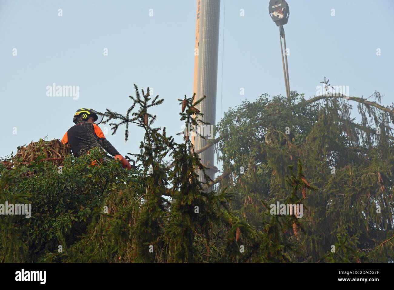 Qui Est Elimine Dans Les 50 Feldafing, Allemagne. 09ème novembre 2020. Le grimpeur Klaus Huber est  assis sur une épinette de 50 ans et fixe une corde d'acier à une partie de  l'arbre, qui est soulevée et éliminée