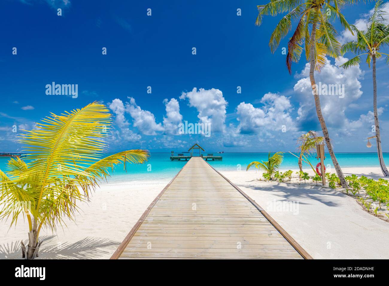 Pont en bois, jetée sur la plage tropicale aux Maldives, le jour d'été ensoleillé. Superbe plage d'été tropicale Banque D'Images