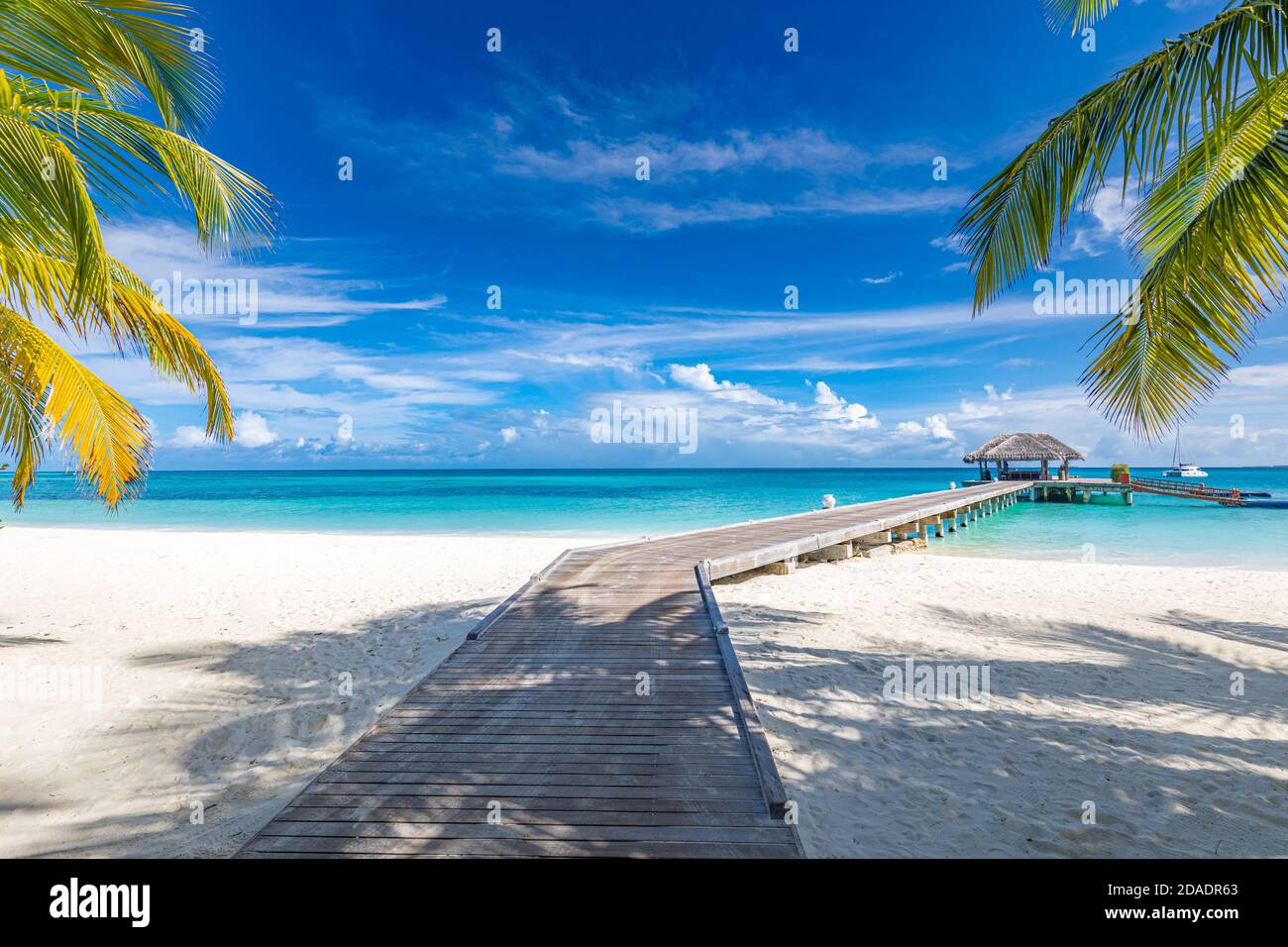 Plage tropicale, Maldives. Chemin de jetée vers l'île paradisiaque tranquille. Palmiers, sable blanc et mer bleue, vacances d'été parfaites vacances paysage vacances Banque D'Images