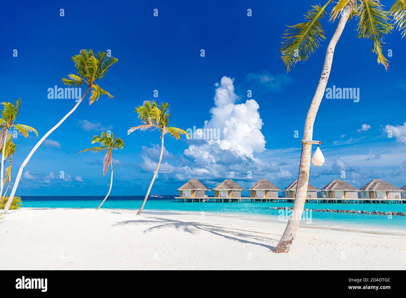 Paysage de plage tropical parfait. Belle plage avec palmiers et ciel nuageux. Vacances d'été voyage vacances, villas de l'eau, destination de luxe Banque D'Images
