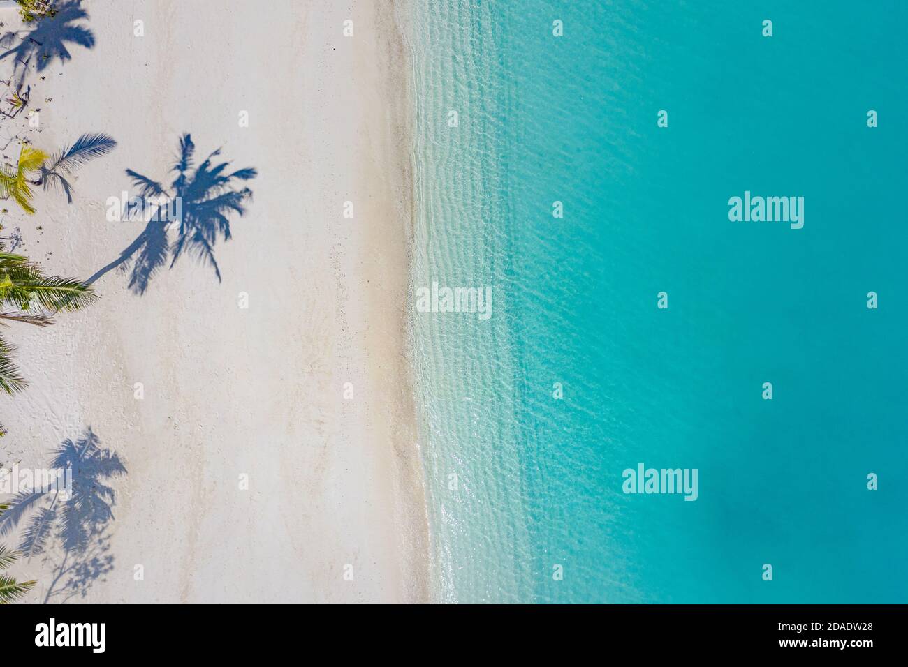Plage avec beau littoral. Incroyable vue sur les drones aériens paysage d'été. L'eau de couleur est turquoise, sable blanc et palmiers ombres, nature ensoleillée Banque D'Images