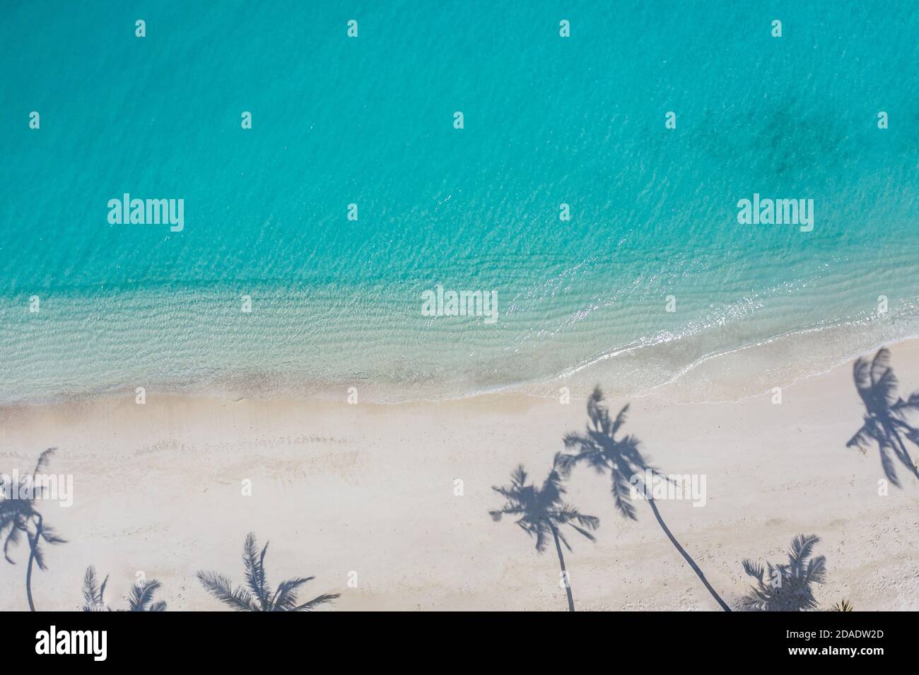 Plage avec beau littoral. Incroyable vue sur les drones aériens paysage d'été. L'eau de couleur est turquoise, sable blanc et palmiers ombres, nature ensoleillée Banque D'Images