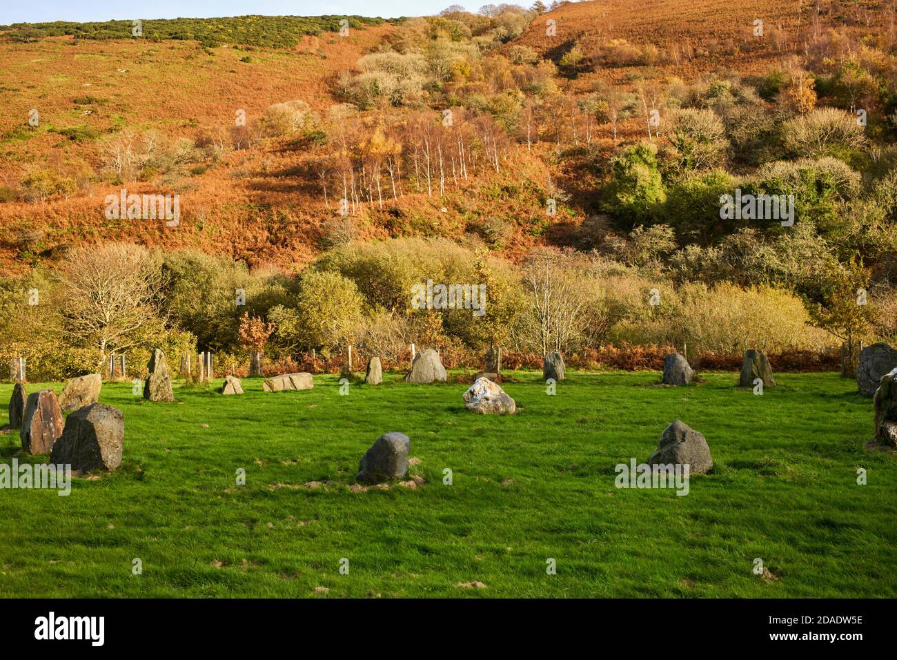 Petit cercle de pierre avec arbres plantés à Sulby Glen, île de Man Banque D'Images