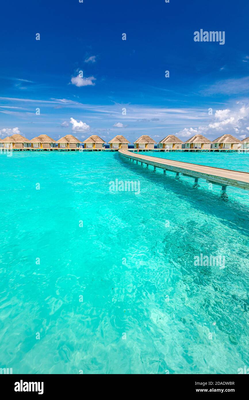 Île tropicale des Maldives avec palmiers à noix de coco, pont en bois et villa aquatique. Paysage de voyage exotique. Magnifique île paradisiaque d'été, paisible Banque D'Images