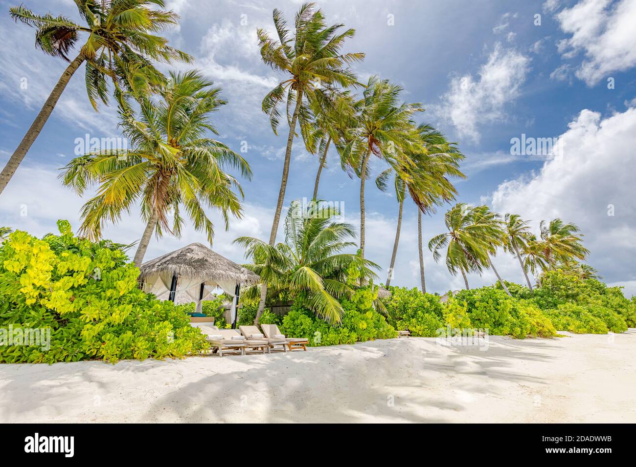 Maldives paradis plage tropicale. Vue incroyable, eau bleu turquoise lagon, palmiers et plage de sable blanc. Voyage de luxe destination de vacances Banque D'Images