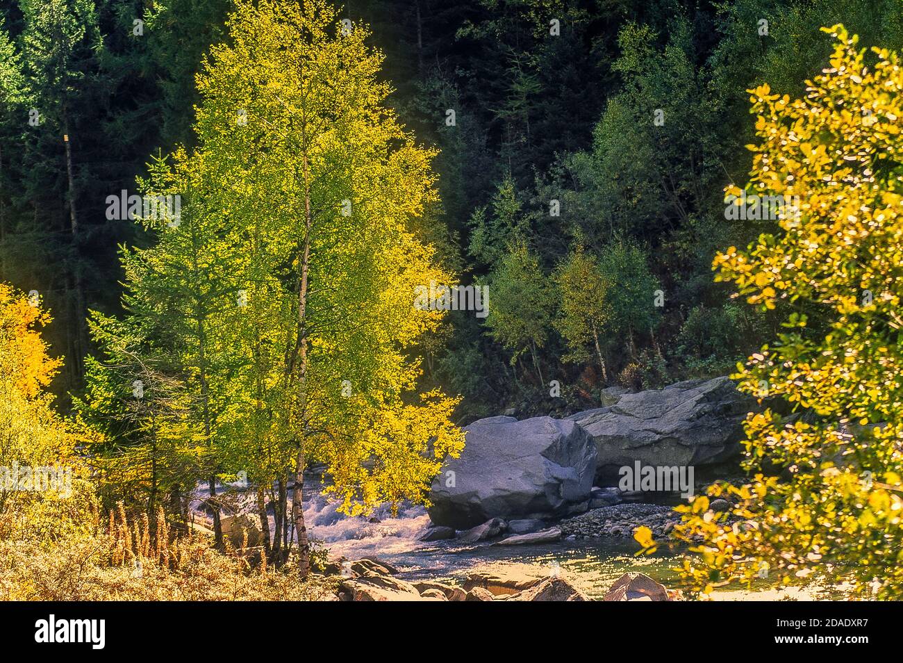 Italie Valle d'Aoste - Val di Cogne - Paysage avec Rivière Grand Eyvia Banque D'Images