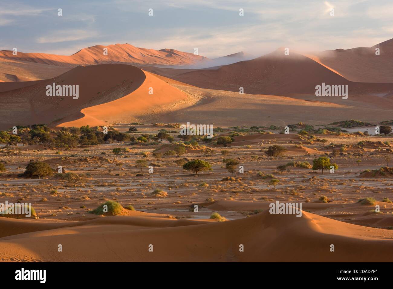 Géographie / Voyage, Namibie, Namib Naukluft National Park, paysage de dunes près de Sossusvlei, Additional-Rights-Clearance-Info-not-available Banque D'Images