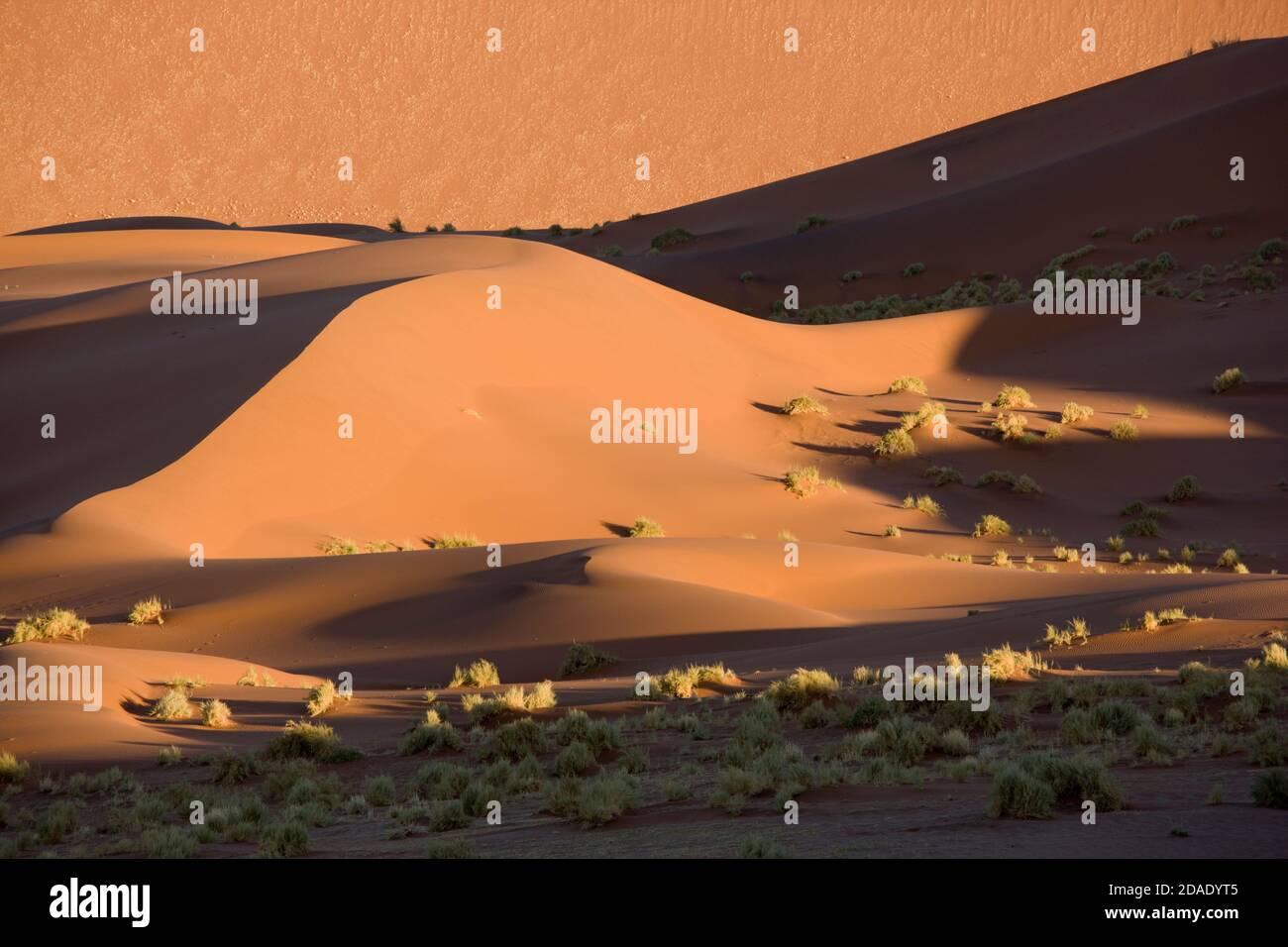 Géographie / Voyage, Namibie, Namib Naukluft National Park, paysage de dunes près de Sossusvlei, Additional-Rights-Clearance-Info-not-available Banque D'Images