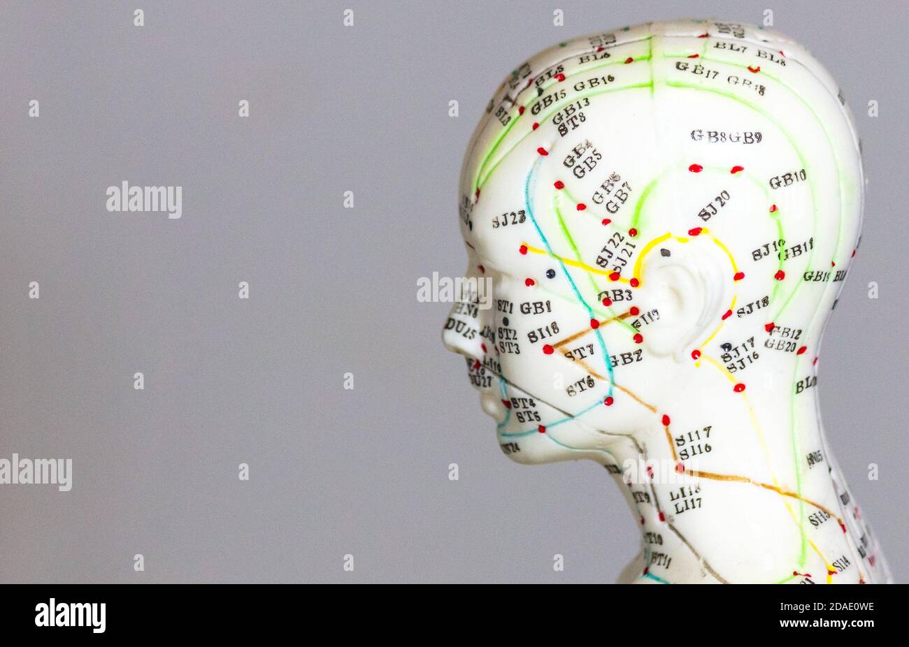 Cliché de mise au point sélective d'un mannequin avec points d'acupuncture et méridiens Banque D'Images