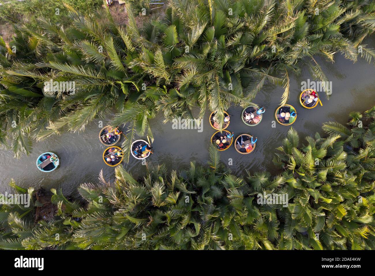 Vue aérienne, les touristes en barques de panier tour à la forêt d'eau de coco ( palmier de mangrove ) dans le village de Cam Thanh, Hoi an, Quang Nam, Vietnam Banque D'Images