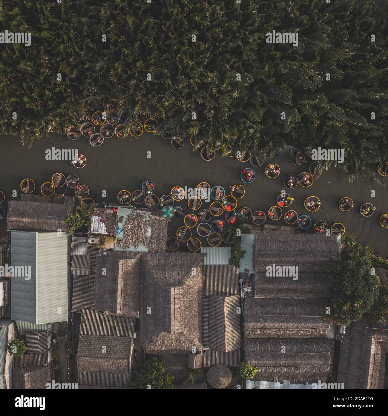 Vue aérienne, les touristes en barques de panier tour à la forêt d'eau de coco ( palmier de mangrove ) dans le village de Cam Thanh, Hoi an, Quang Nam, Vietnam Banque D'Images