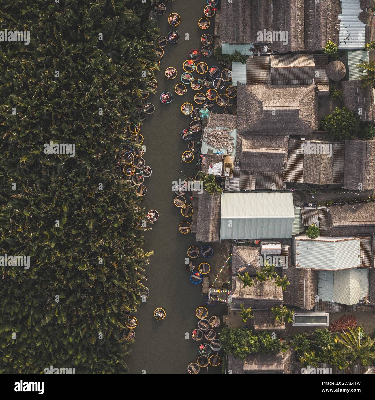 Vue aérienne, les touristes en barques de panier tour à la forêt d'eau de coco ( palmier de mangrove ) dans le village de Cam Thanh, Hoi an, Quang Nam, Vietnam Banque D'Images