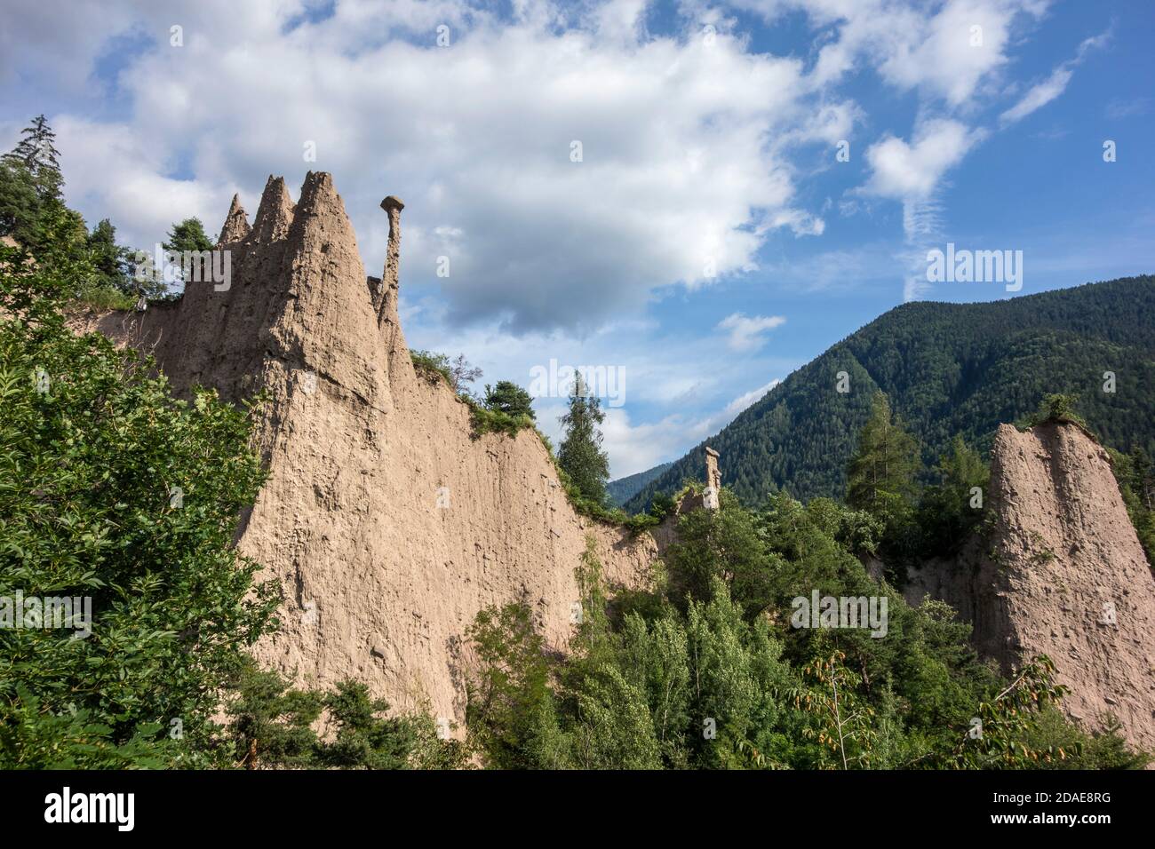 Piramidi di Segonzano, Trentin - Südtirol, Italie Banque D'Images